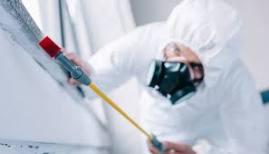 Professional Pest control in Irondale, AL